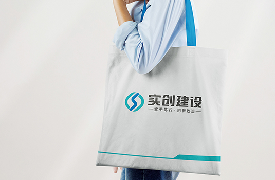 LOGO设计、VI设计——实创建设LOGO设计、VI设计